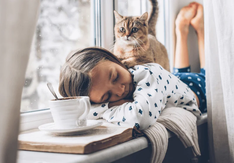 La tua oasi di comfort