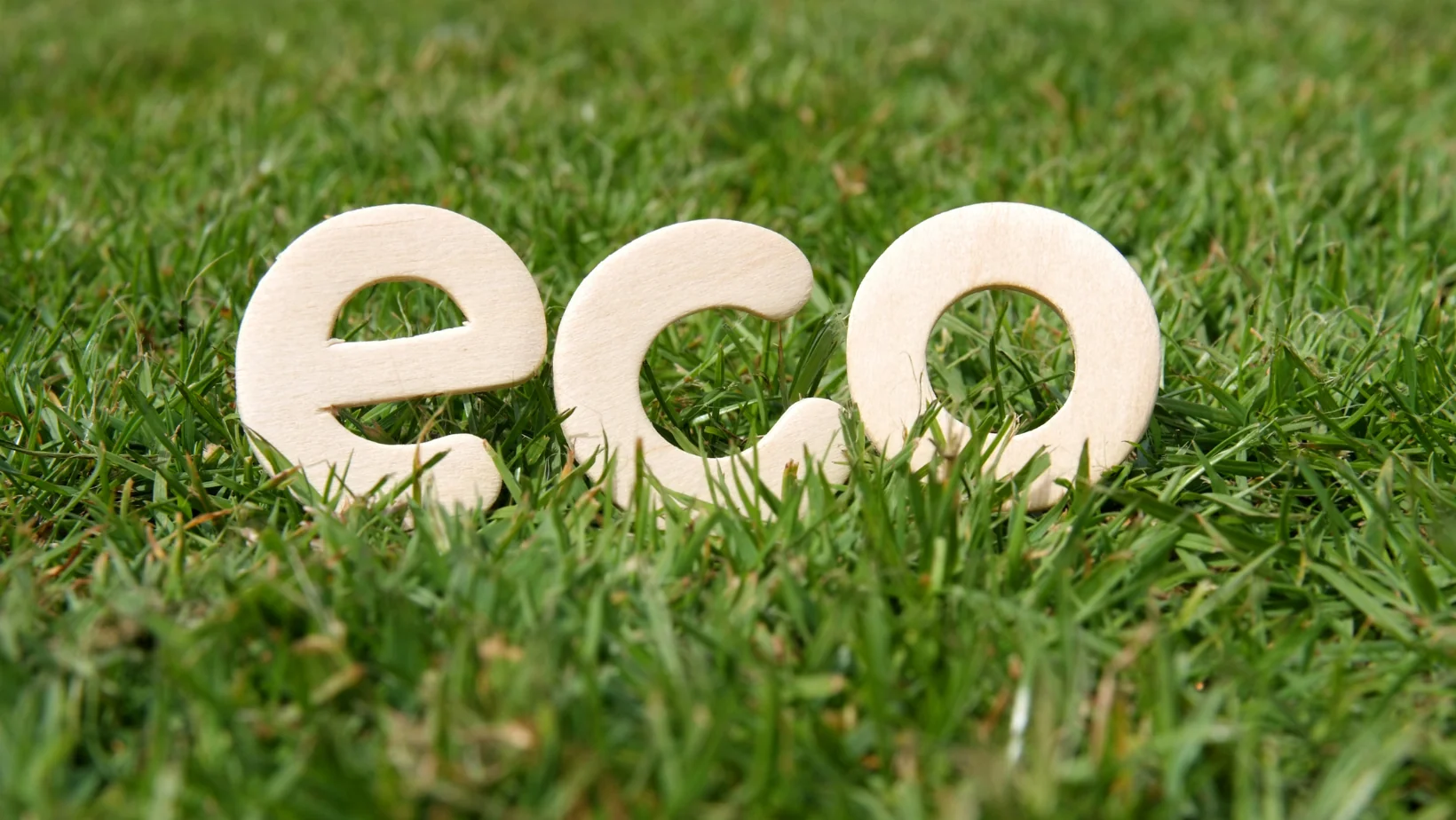 Casa ecologica non deve essere noiosa.