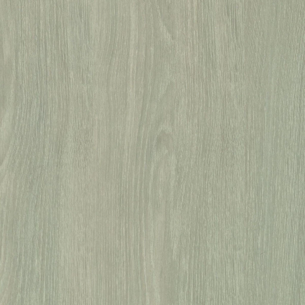 Rovere sbiancato
